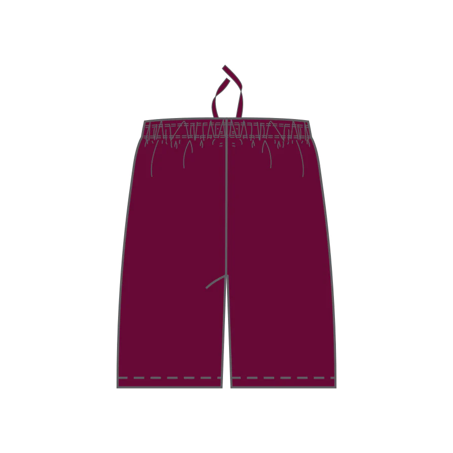 Baseball QLD | PRE-ORDER | Player - Unisex Baseball Shorts - Image 2