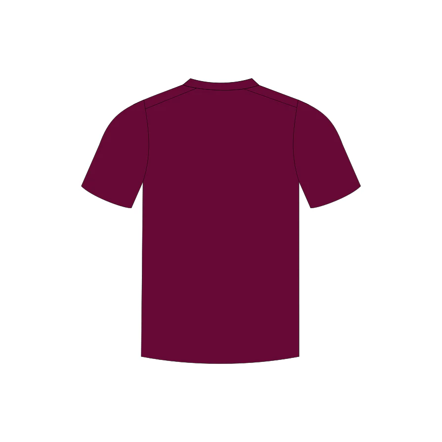 Baseball QLD | PRE-ORDER | Player - Unisex Sub Tee - Image 2