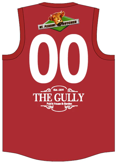 Birdwood FC | PRE-ORDER | Long Sleeve Guernsey - Image 2