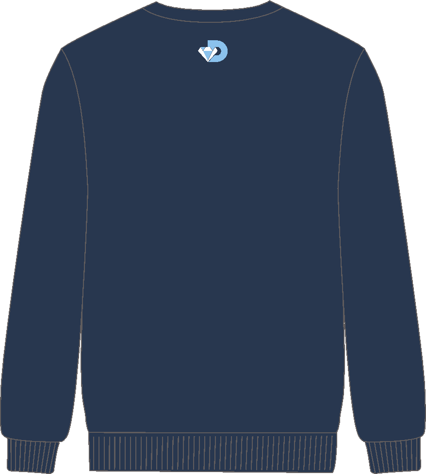 Diamond High Performance | PRE-ORDER | NB DHP Team Crew Jumper - Image 2