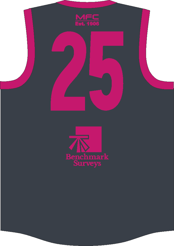 PFL25 Melville FC | BA Mens Pink Guernsey - Image 2