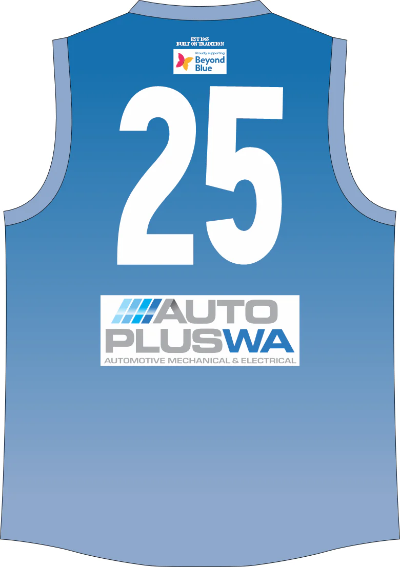 PFL26 Swan Valley FC | BA Beyond Blue Womens Guernsey - Image 2