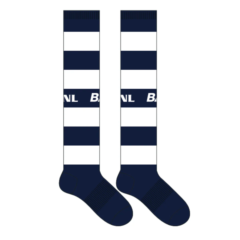 WRFL Albion FC | BA Full Length Sock